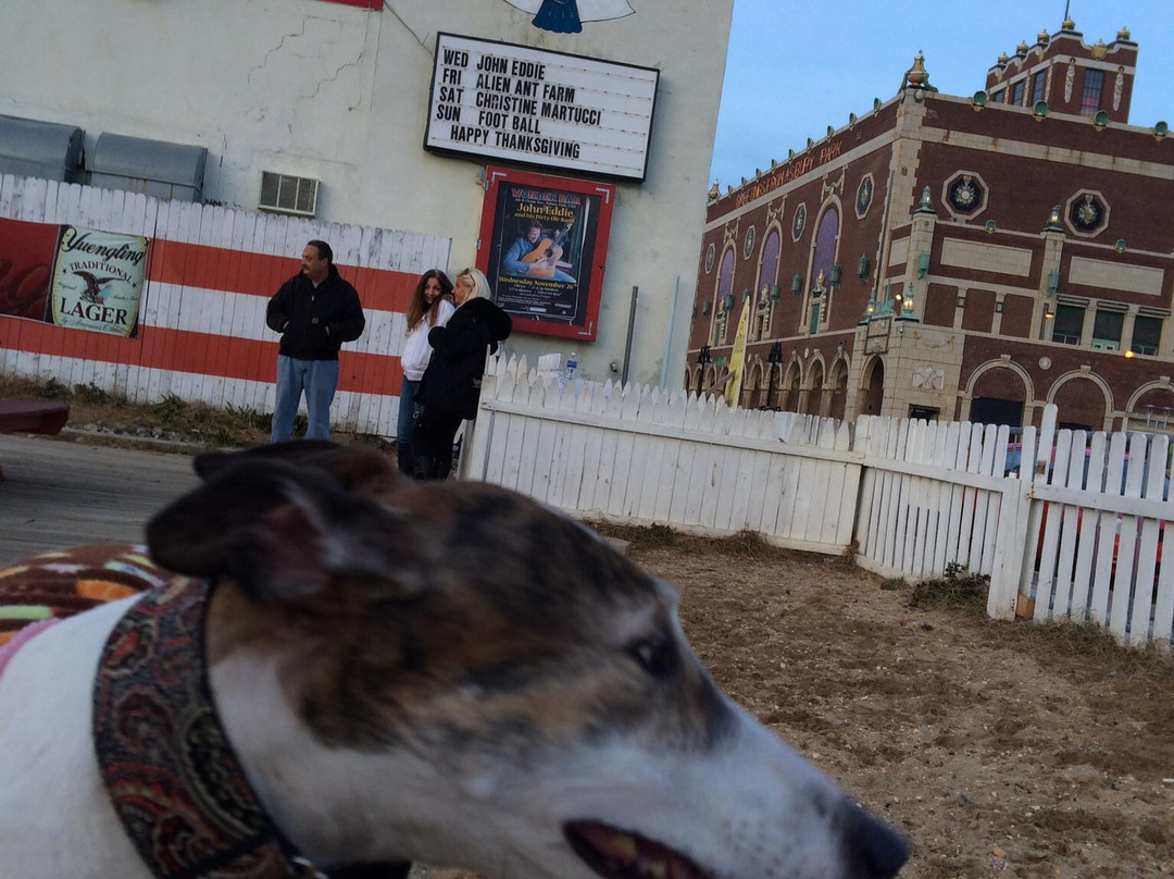 Wonder Bar-阿斯伯里帕克必去景点