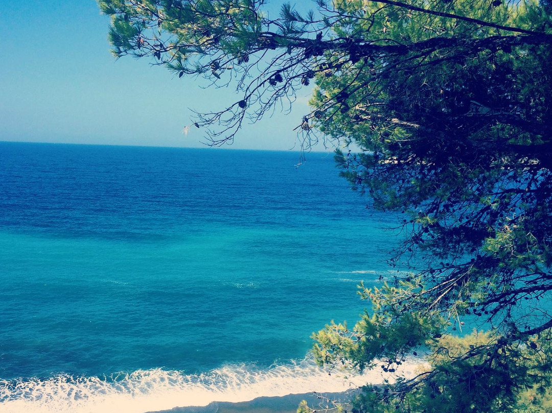 Platis Yialos Beach-Kalymnos必去景点