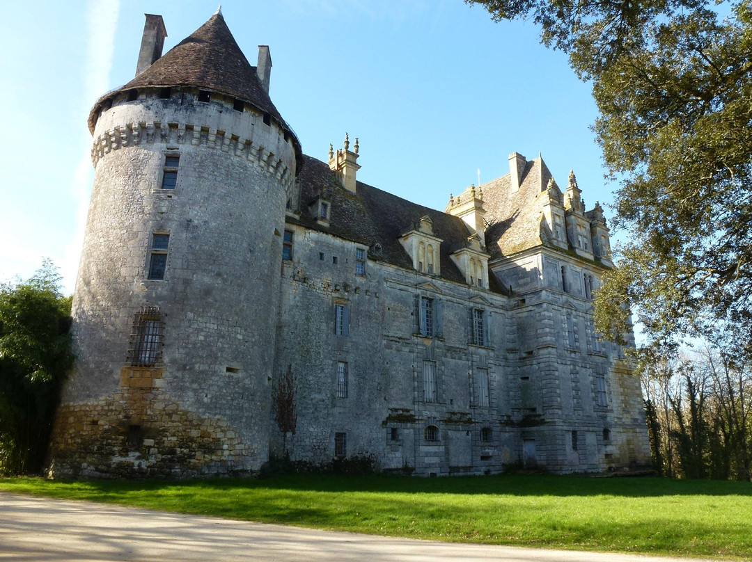 Chateau de Lanquais景点图片