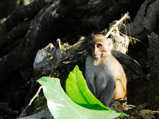 Biotica EcoTours - Day Tours-萨拉索塔必去景点