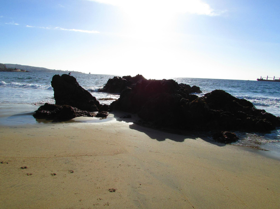 Playa Caleta Abarca-比尼亚德尔马必去景点