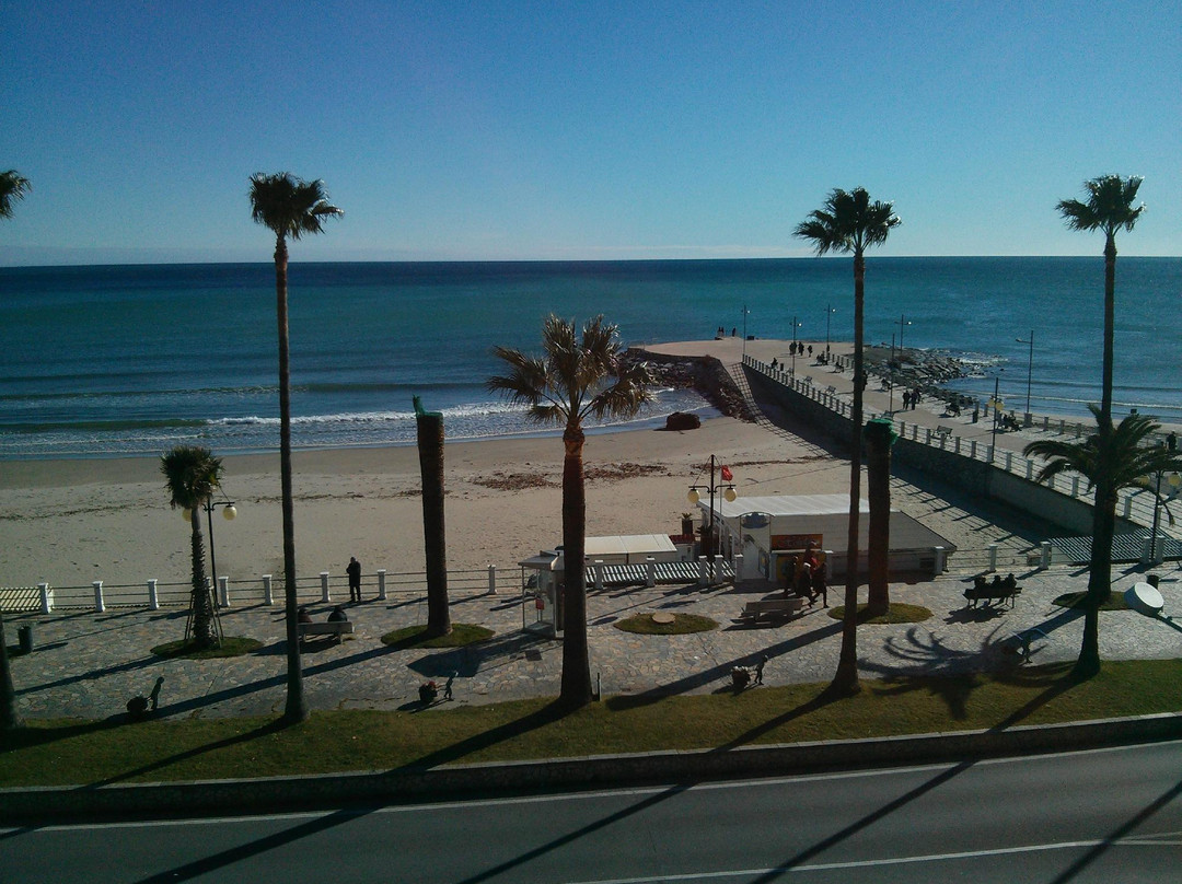 Marina di Andora酒店住宿-Hotel Moresco