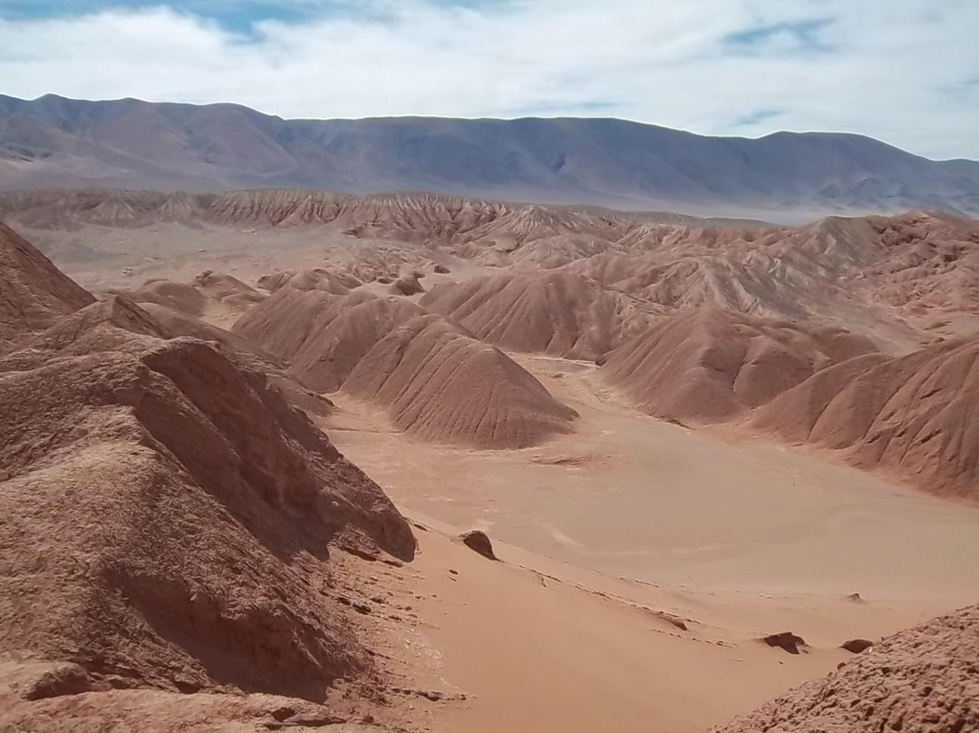 El Arenal-Tolar Grande必去景点