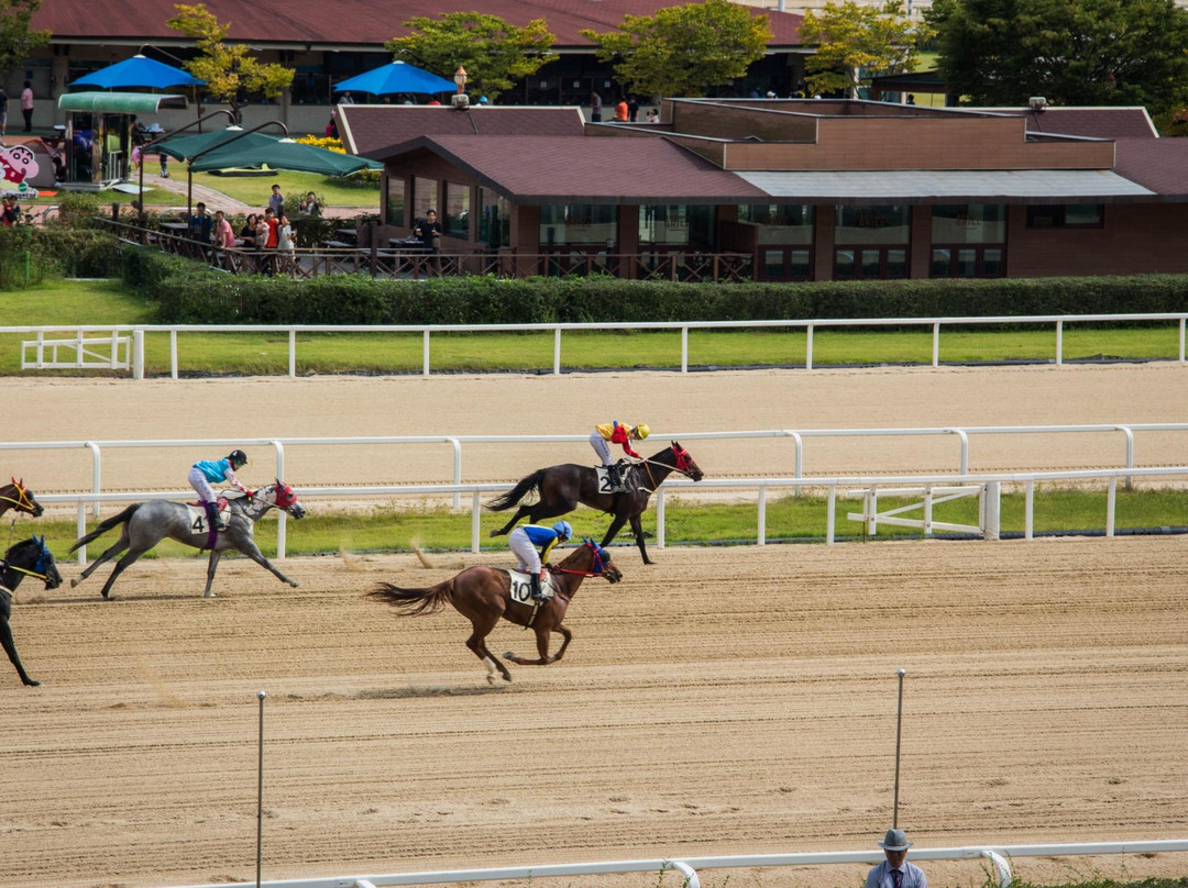 LetsRun Park Seoul(Seoul Racecourse Park)-果川市必去景点