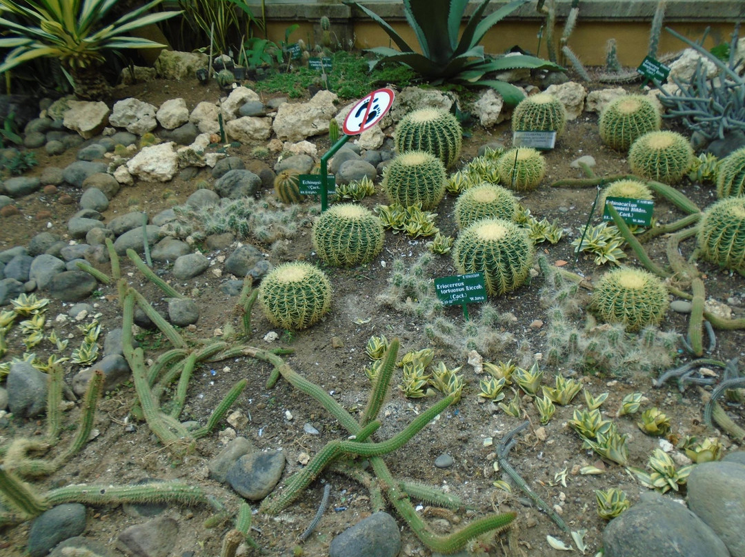 Bali Botanic Garden-达巴南必去景点