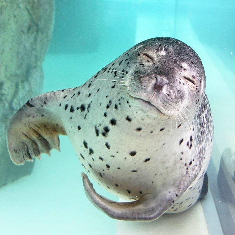 城崎水族馆-丰冈市必去景点