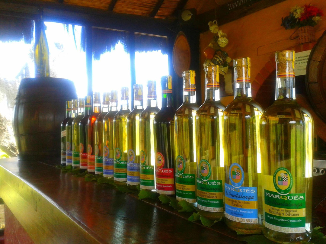 Marqués De Puntalarga-Nobsa必去景点