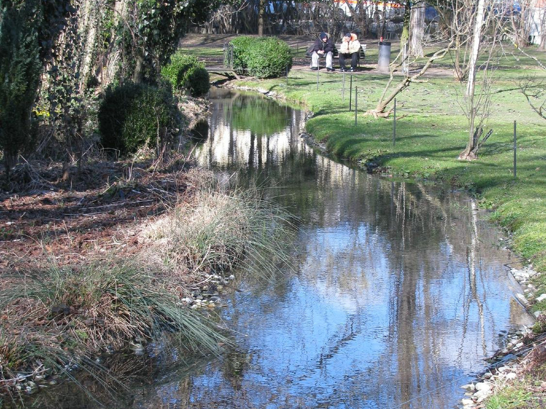 Parc Elfenau景点图片