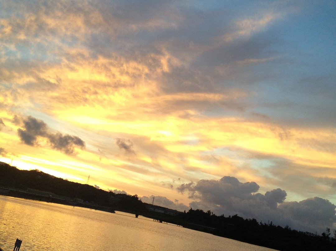 Nature Miraikan主图