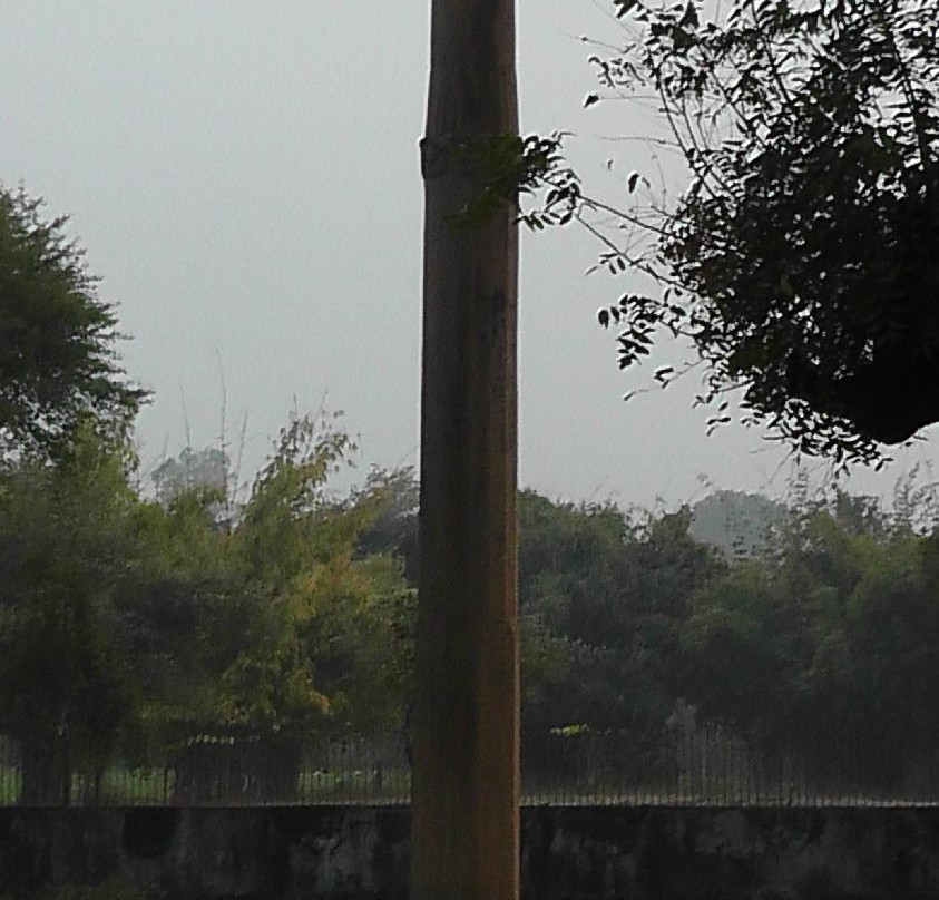 Khamba Baba/Heliodorus Pillar-Vidisha必去景点