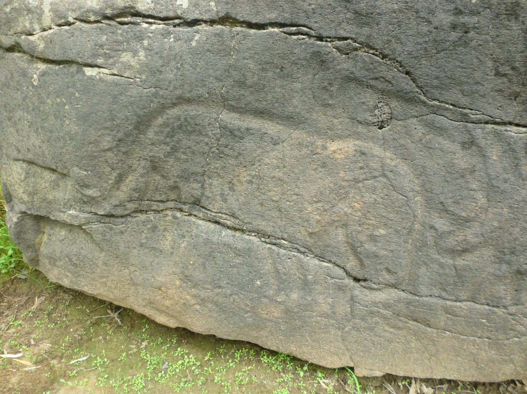 Petroglyphs Sikachi Alyan-Sikachi Alyan必去景点