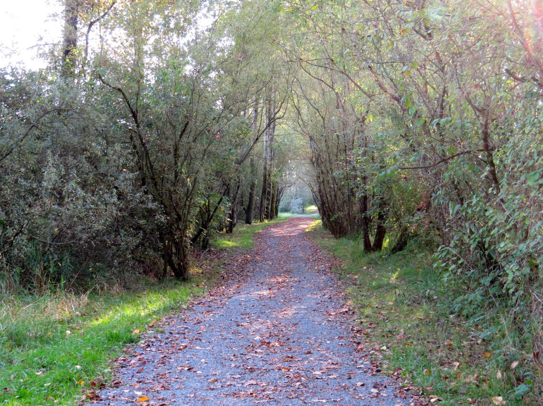 Matsqui Trail Regional Park景点图片