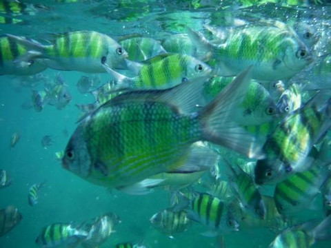 Krabi Castaway Tours-奥南必去景点