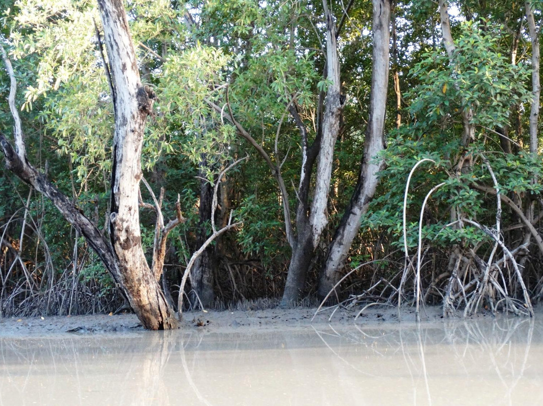 Kiang West National Park景点图片