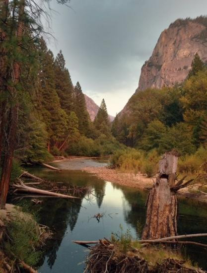 Zumwalt Meadow Trail-红杉&国王峡谷国家公园必去景点