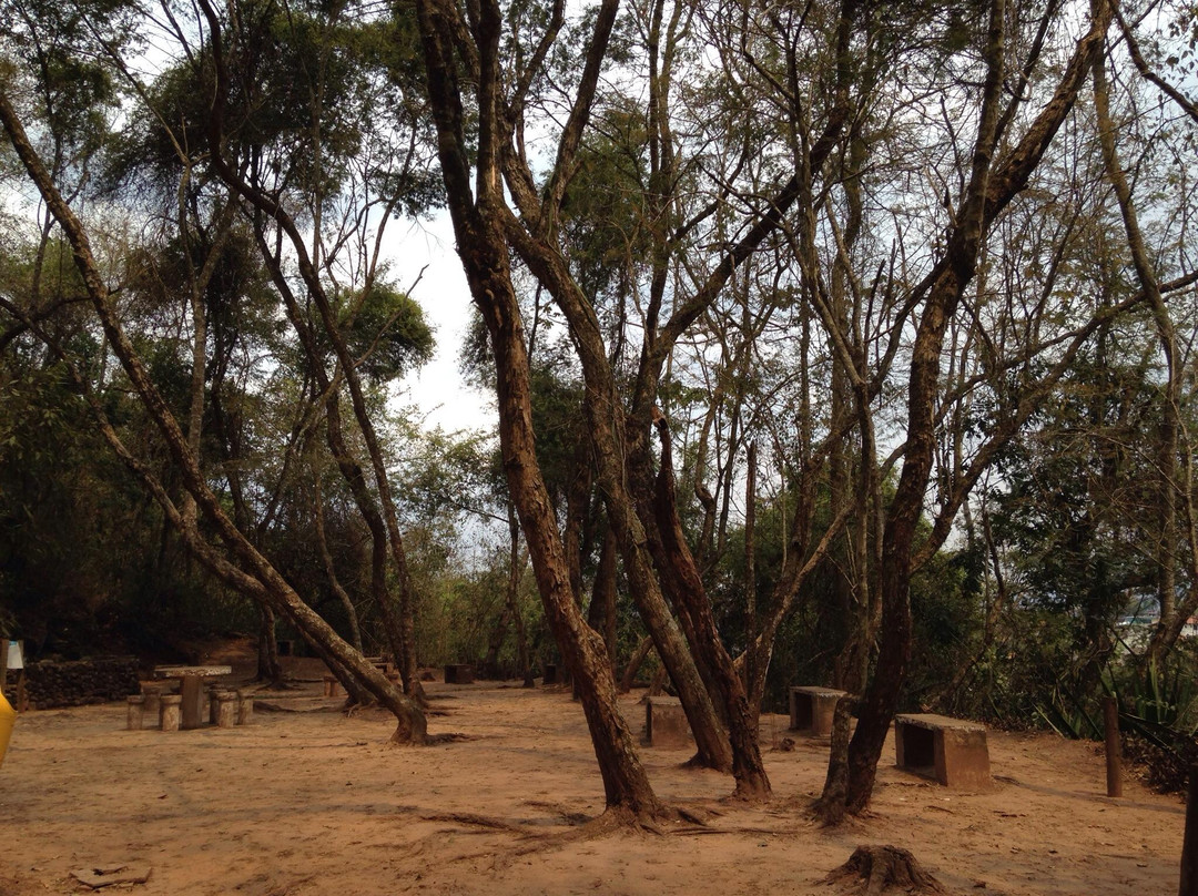 Parque Natural Municipal Chacara do Lessa景点图片