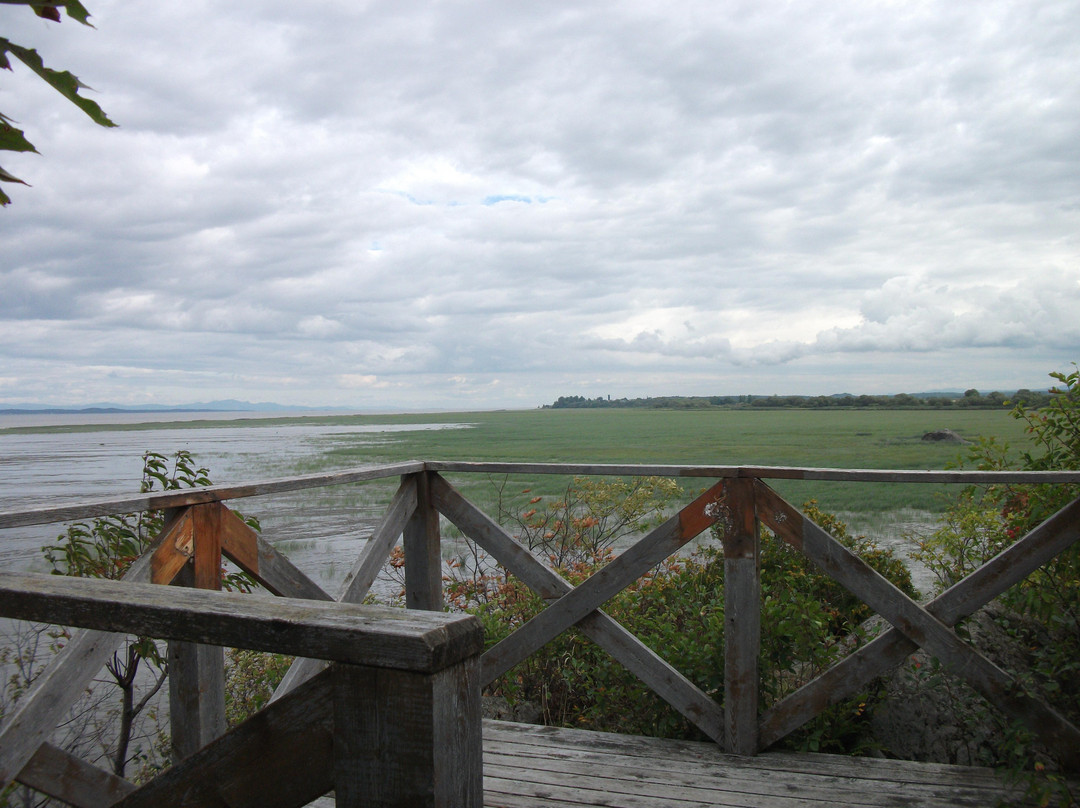 Cap-Saint-Ignace旅游攻略图片