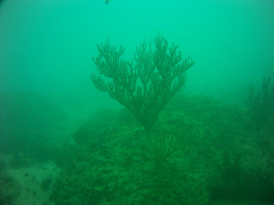 Caribe Aquatic Adventures-圣胡安必去景点