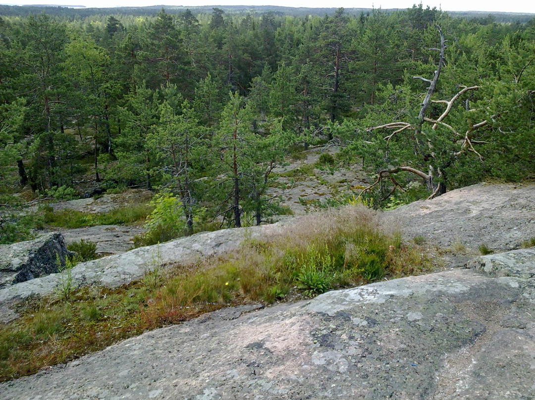 Kokkovuori (Bonfire Mountain)-Siltakyla必去景点