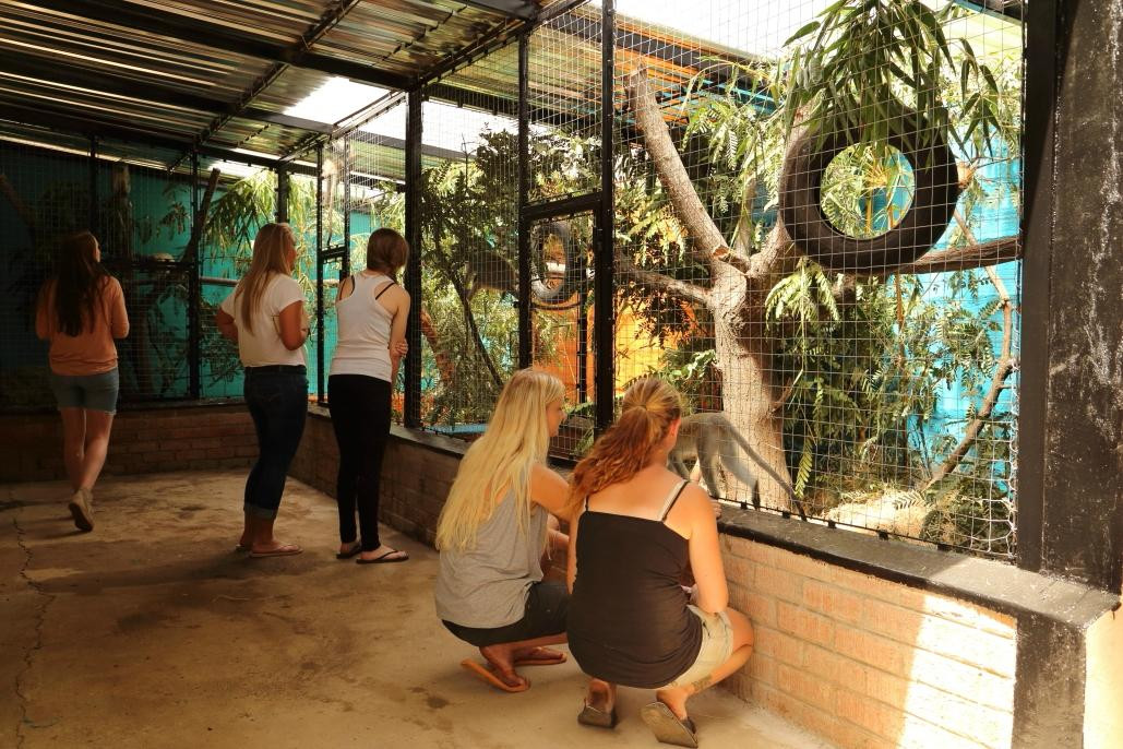 Chipangali Wildlife Orphanage and Research Centre景点图片