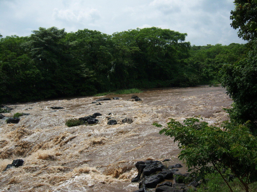 Salto de Eyipantla景点图片