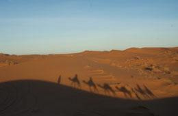 Scoprire il Marocco-马拉喀什必去景点