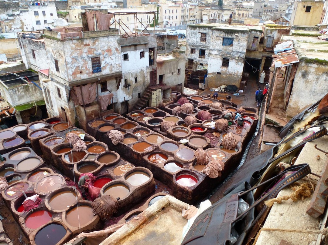 Under Moroccan Sun, LLC - Morocco Tours Specialist-卡萨布兰卡必去景点