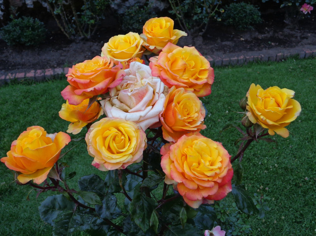 Jardin Botanico de Bogota Jose Celestino Mutis-波哥大必去景点