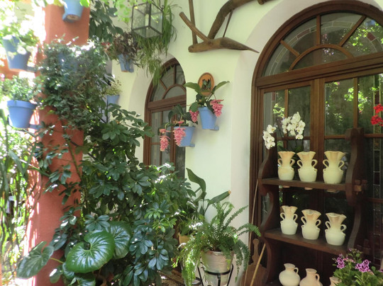 Artencordoba Visitas Guiadas-科尔多瓦必去景点