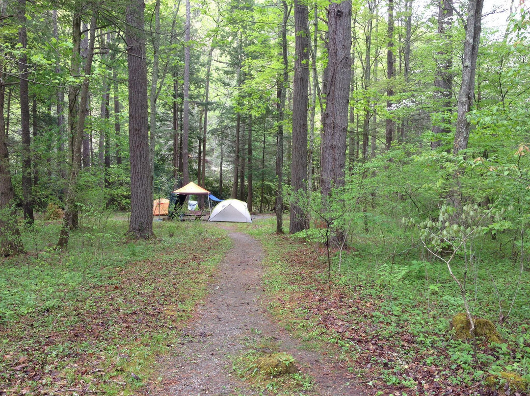 Blue Bend Recreation Area-White Sulphur Springs必去景点
