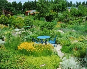 ハーブレストラン オッジ