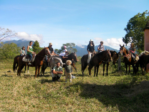 Raul Sampaio Horses4u-帕拉地必去景点