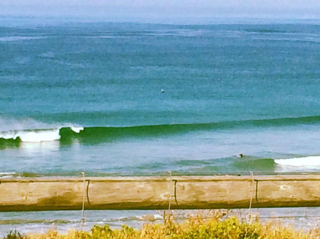 Great Ocean Road Surf Tours - Day Tours