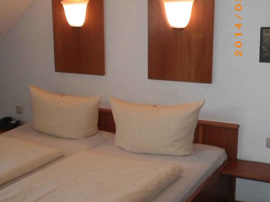 Hotel Harzer Hof主图