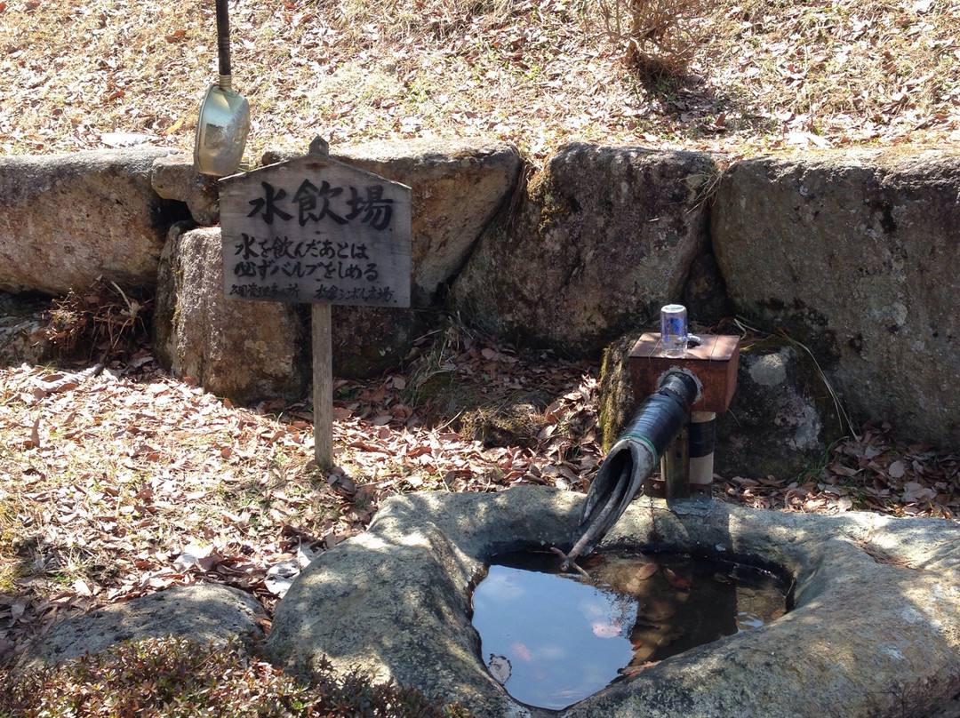 东山游步道-高山市必去景点