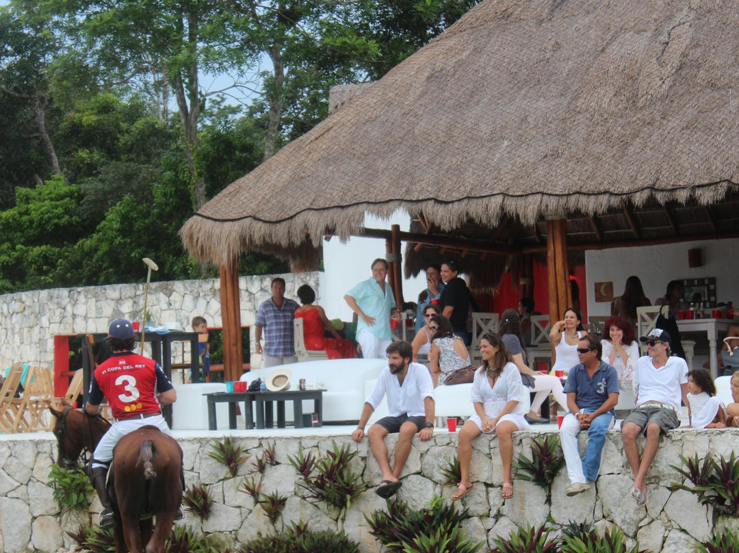 El Rey Polo Country Club-从莫雷洛斯港必去景点