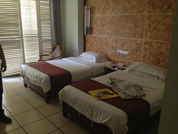 三亚椰林滩大酒店-客卧