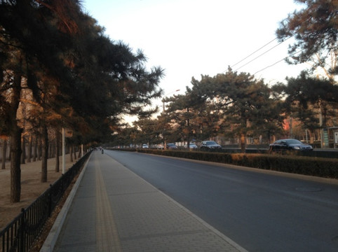 钓鱼台银杏大道-北京市必去景点