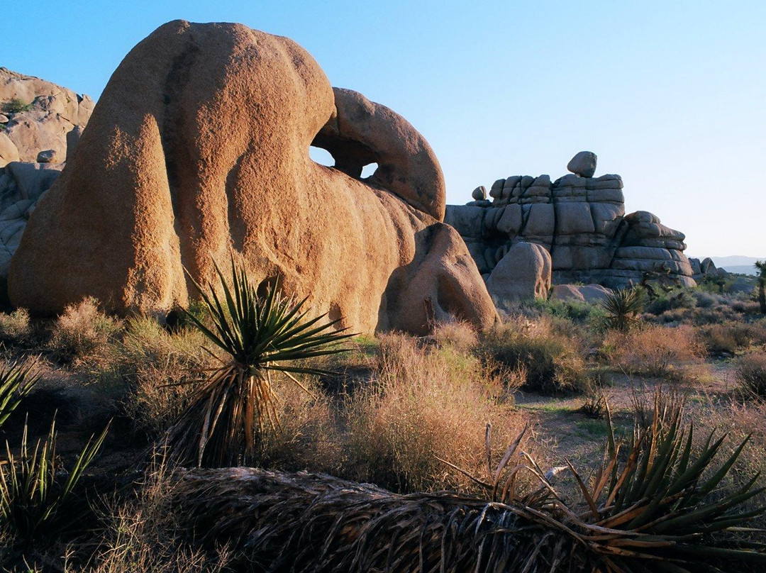 Skull Rock-约书亚树国家公园必去景点