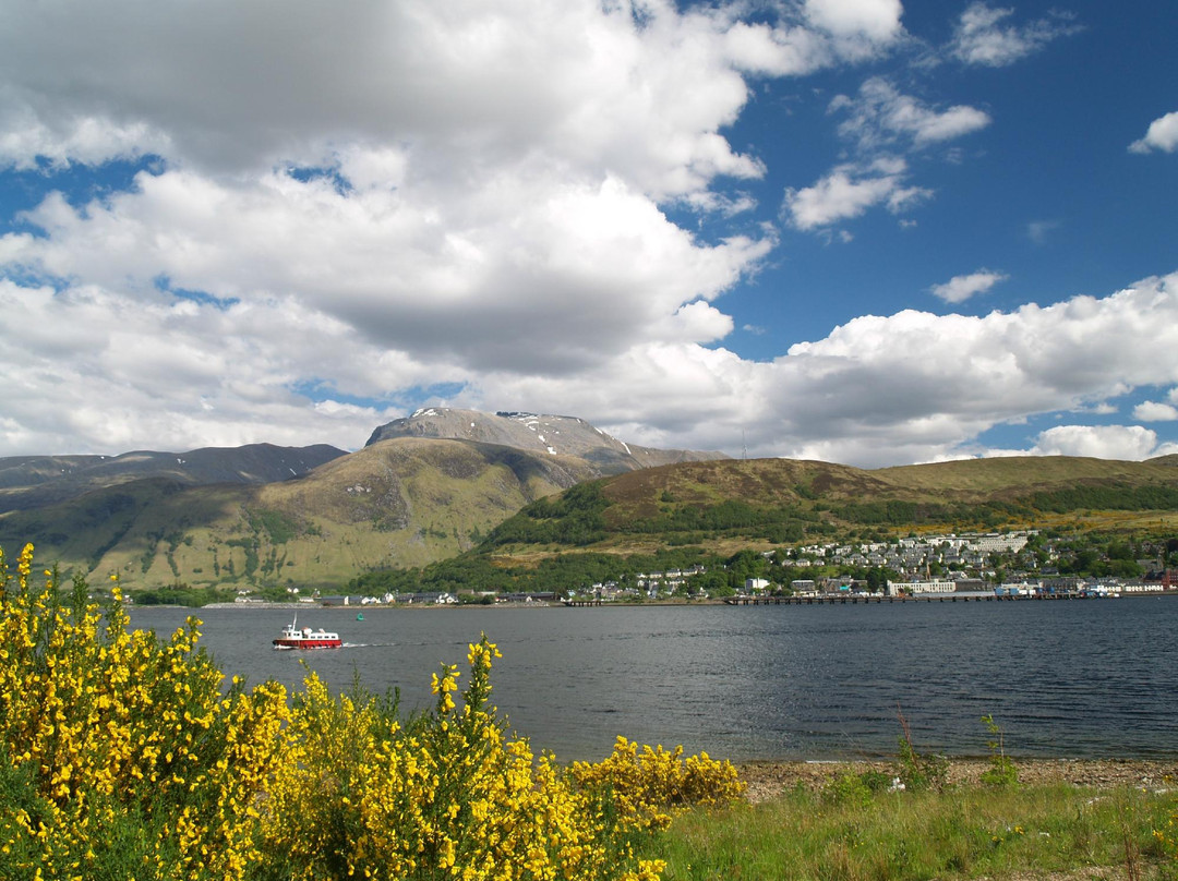 1 Day Tours Scotland - Private Tour景点图片