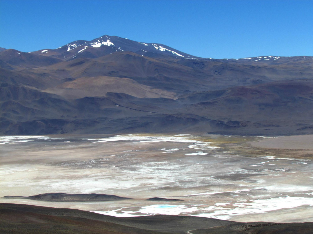 Salar De Antofalla景点图片