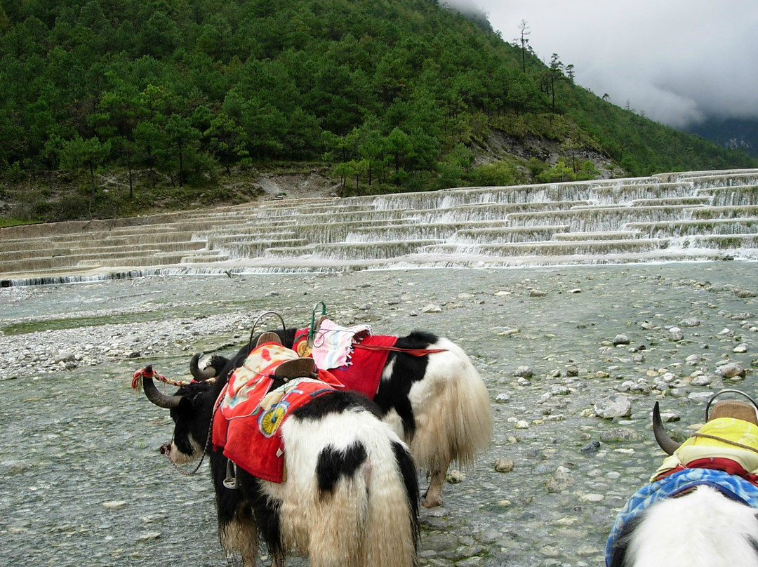 白水河-丽江市必去景点