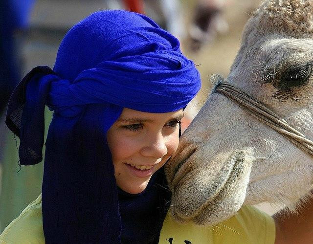 Sahara Local Tours-马拉喀什必去景点