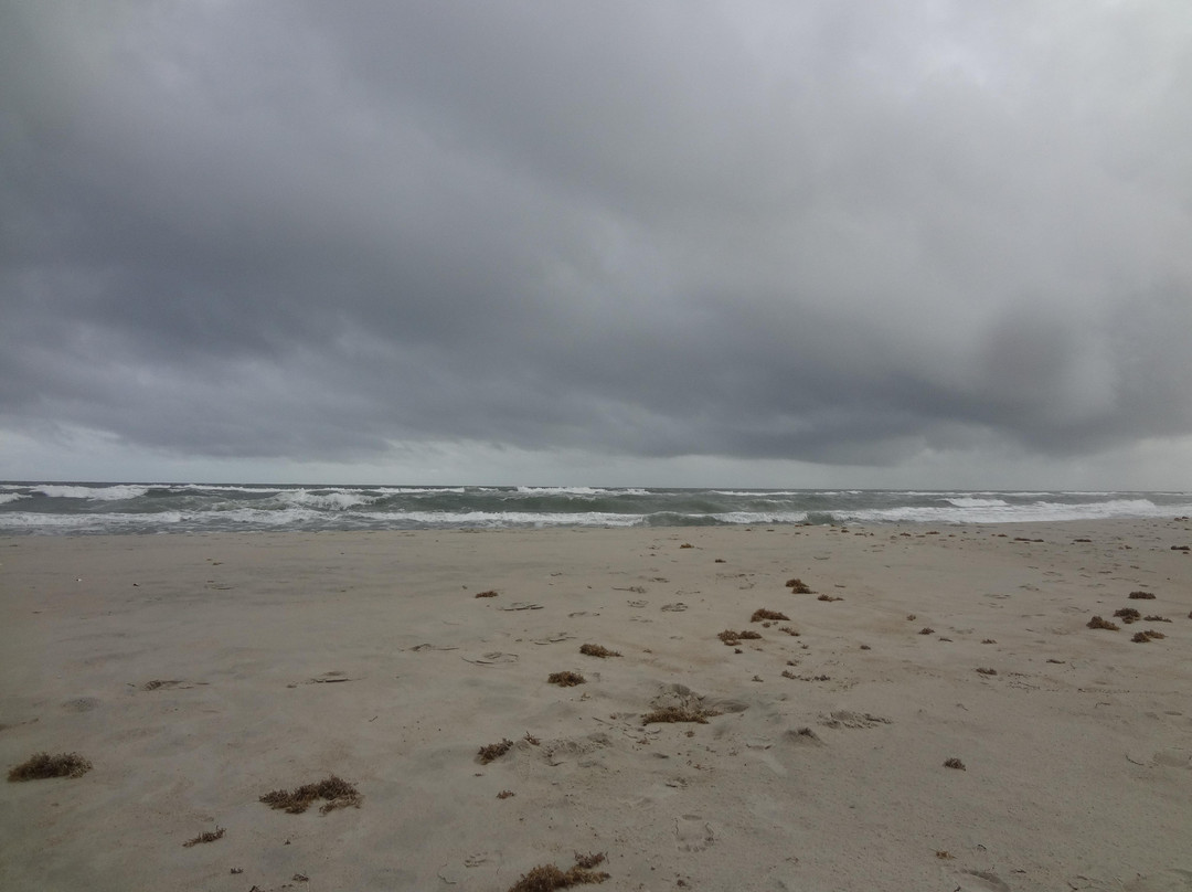 Ocracoke Lifeguarded Beach景点图片
