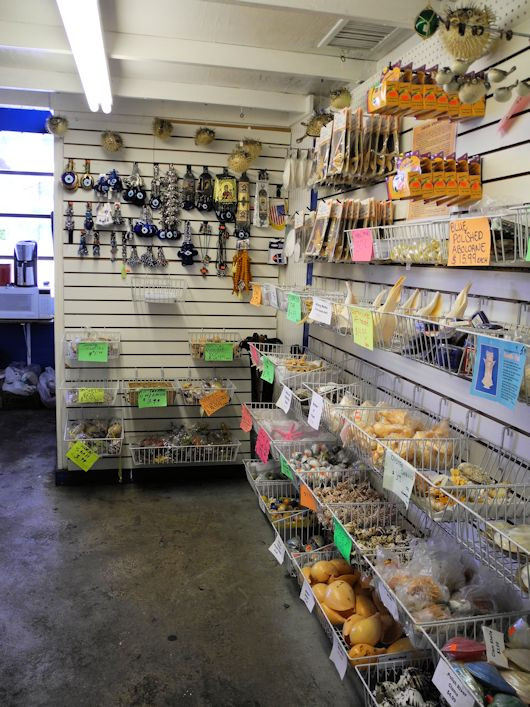 Spongeorama Sponge Factory-塔彭斯普林斯必去景点