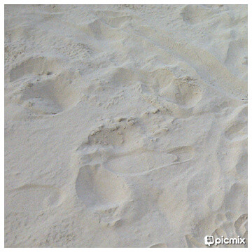 Lombang Beach-Madura Island必去景点