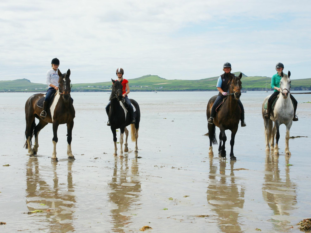 Sea View Equestrian-Ballydavid必去景点