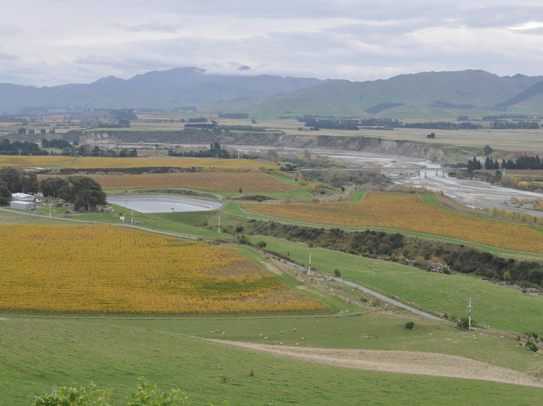 Marlborough Wine Tours-布伦海姆必去景点