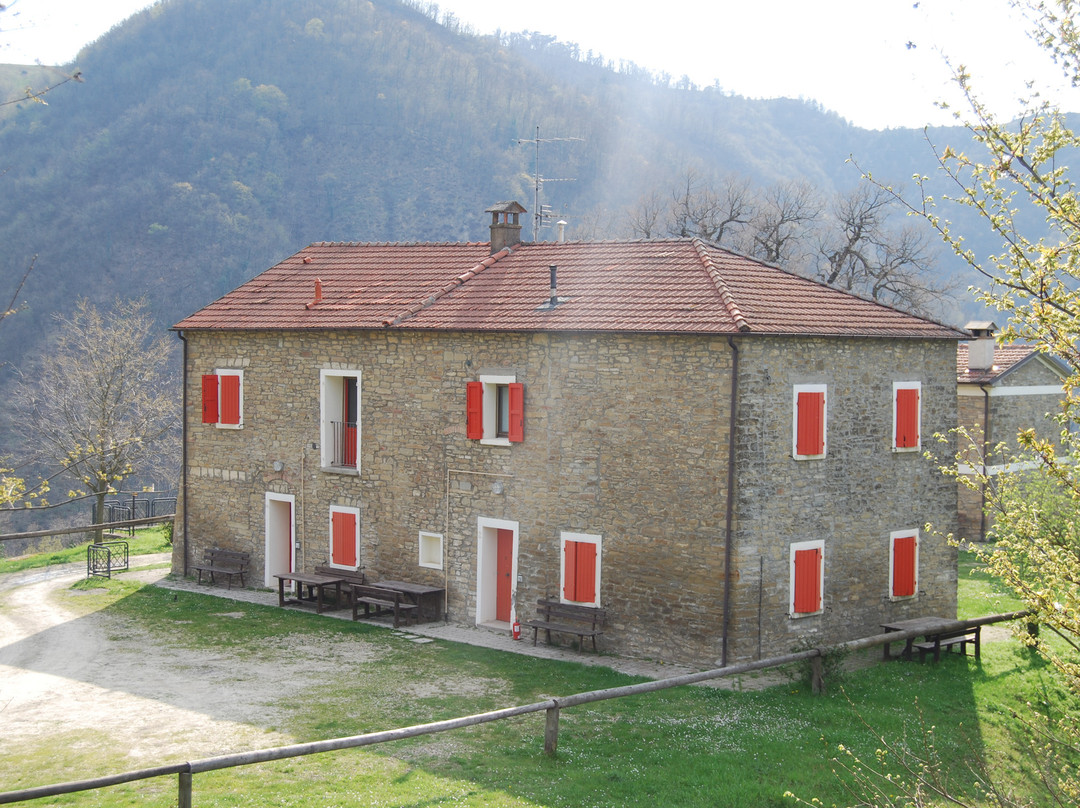 Azienda Agrituristica Badia Di Susinana