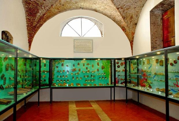 Museo dei Fossili Pierluigi Malinverni景点图片